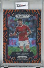 2023-24 PANINI PRIZM PREMIER LEAGUE SOCCER  Neco Williams Base/Tiger Stripe Choice Prizms/#247