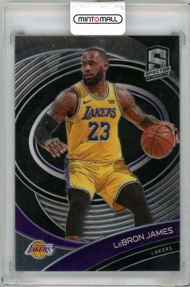 Mint Panini Spectra Lebron James