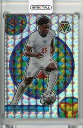 Mint Panini Mosaic Fifa Road To World Cup