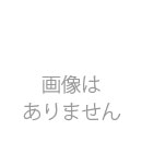 2018 BBM ルーキーエディション #NG07 坂倉将吾(広島) NEXT GENERATION インサートカード