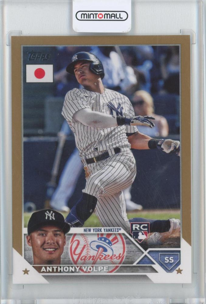 topps Japan edition 2023 Anthony volpeトレーディングカード - glchs