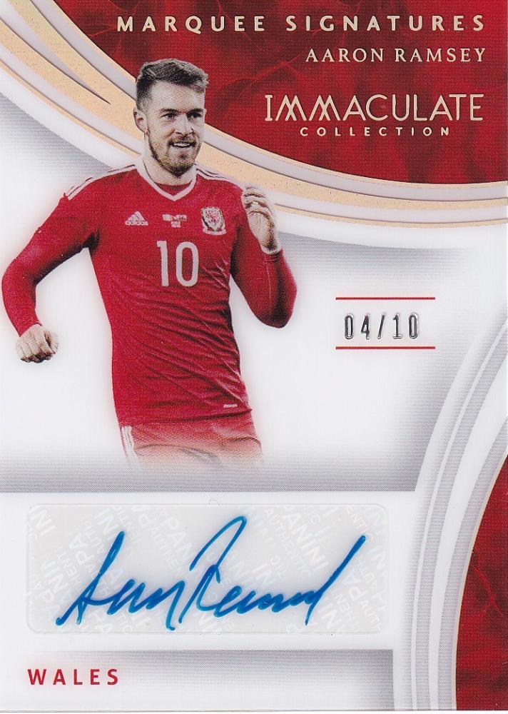 売筋品2017 Panini Immaculate Wales Wayne Hennesdey Match Worn Material Autographed Card 08/10 その他