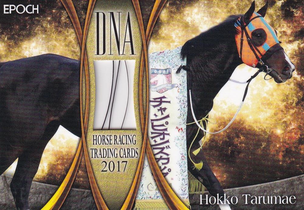 人気激安 競馬 EPOCH HORSERACING ローレル ローレルゲレイロ DNA