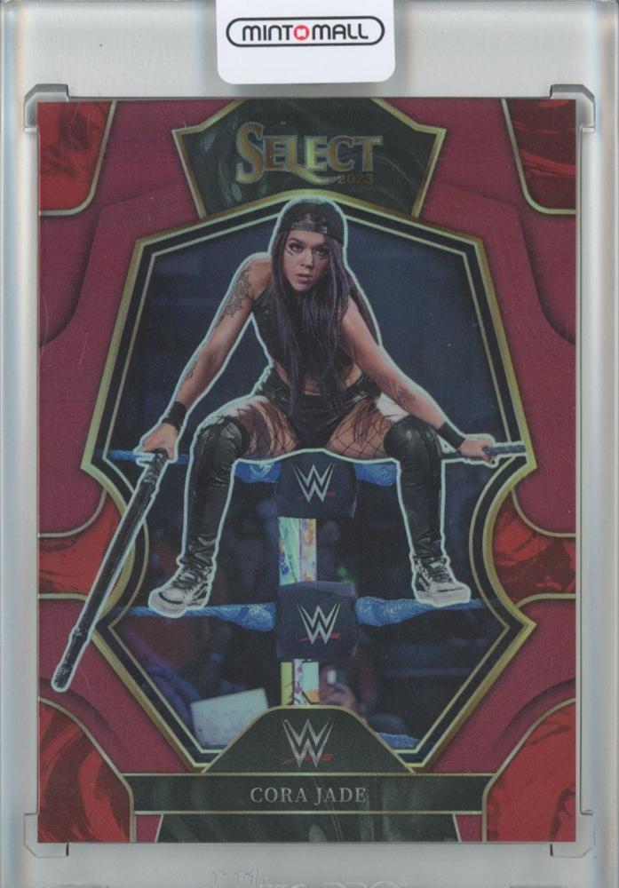 WWE PANINI PAIGE 25シリ サイン Tie-Dye カード - beaconparenting.ie