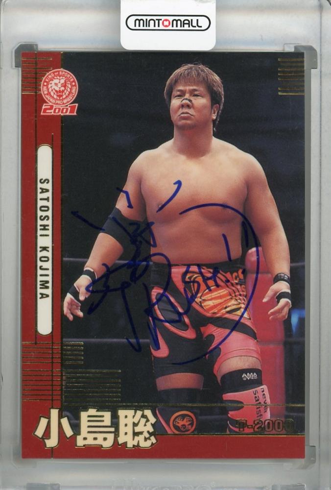 売り最安丸藤正道　NOAH 直筆サインカード　autograph card BBM 2010 サイン