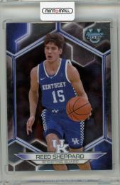  2023-24 TOPPS BOWMAN UNIVERSITY BEST BASKETBALL HOBBY Reed Sheppard