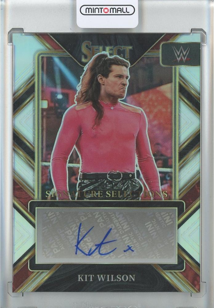 セール通販wwe・panini・ペイジ・サインカード スポーツ選手