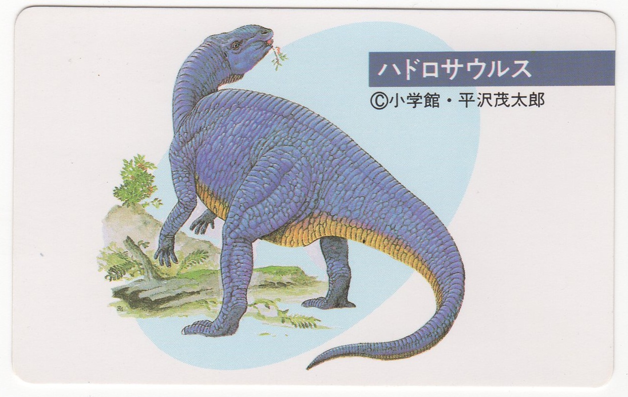 100%新品安い『リクエスト出品可能』珍品！恐竜カード・DINOSAUR・ハピネット★カードダス・ＰＰカード・バンプレスト・ヒーローコレクションなど その他