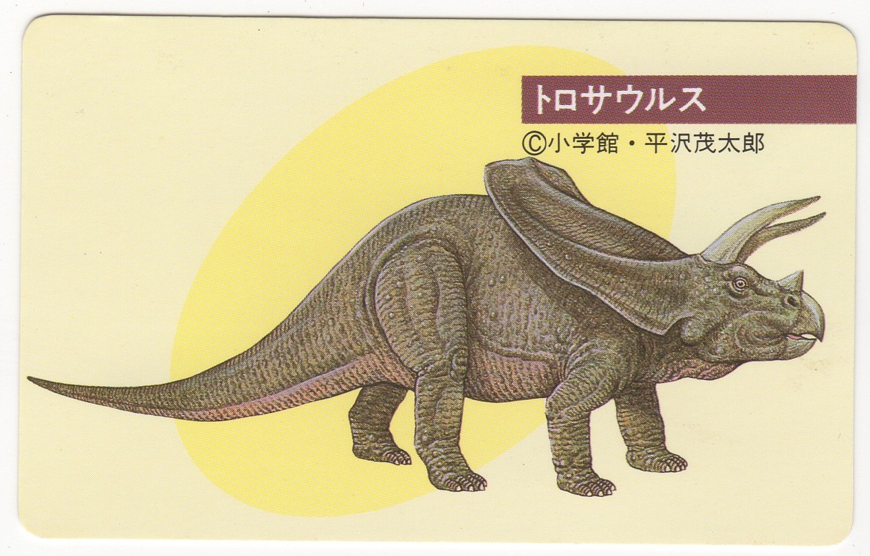 日本製国産カルビー　恐竜チップス　恐竜カード48枚＋カードホルダー その他