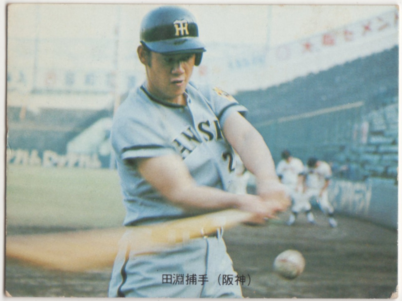 ミントモール / MINT 横浜店 / カルビープロ野球カード1973[プロ野球